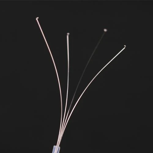 Forceps Gafael Tafladwy ar gyfer Cyflenwr Meddygol